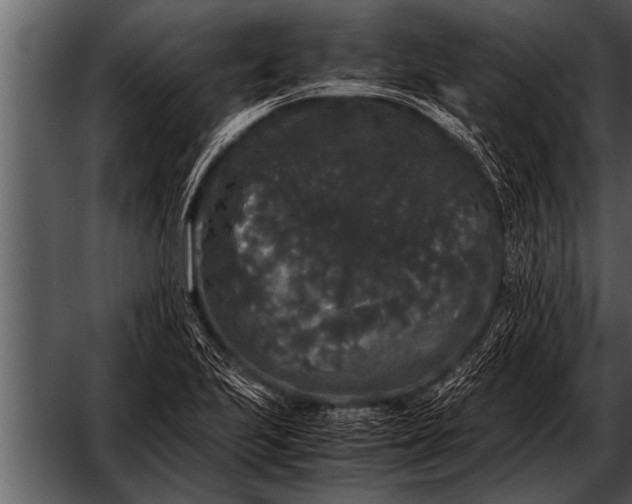 X0000052631223200507160122
