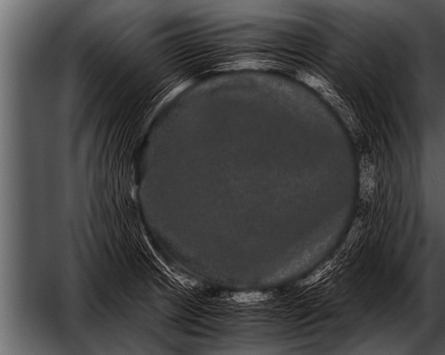 X0000052631233200507160122