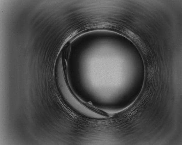 X0000052631234200507160122