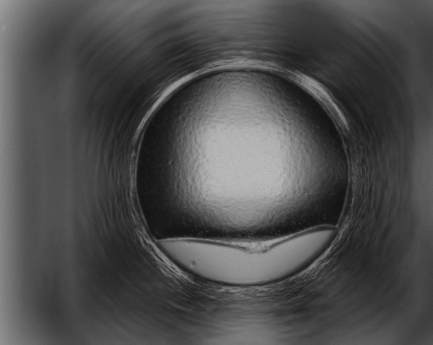 X0000052631244200507160122