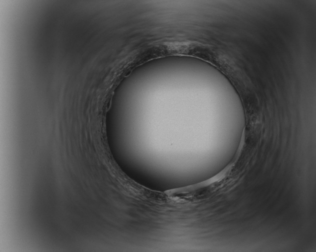 X0000052631249200507160121