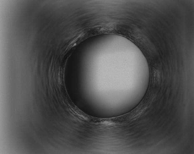 X0000052631250200507160121