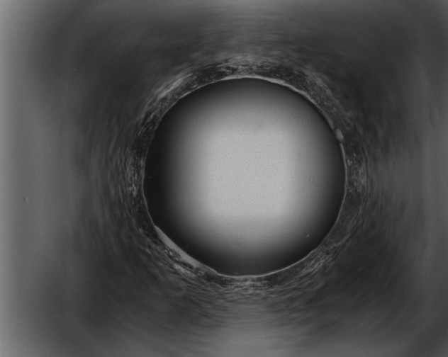 X0000052631253200507160121