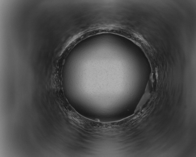 X0000052631256200507160121