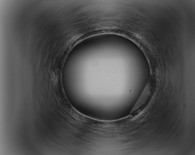 X0000052631257200507160121