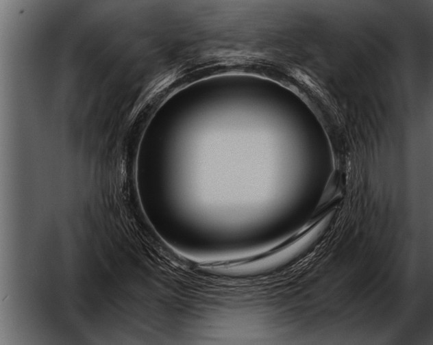 X0000052631261200507160121