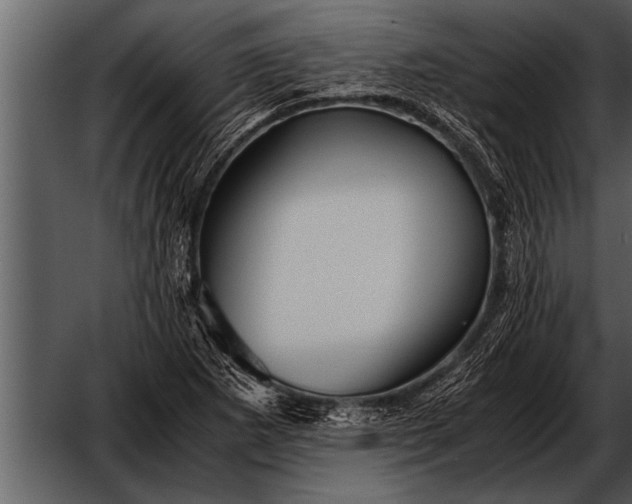 X0000052631265200507160121