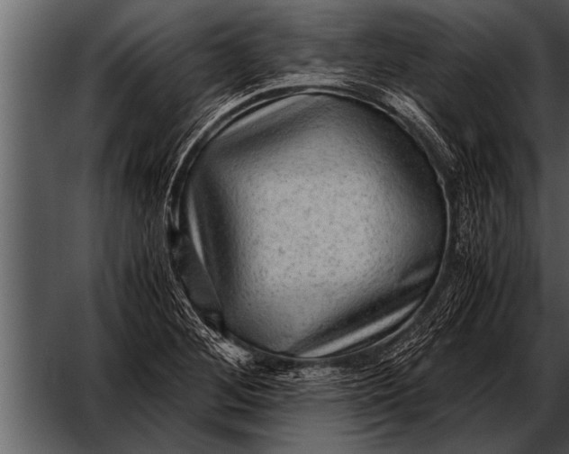 X0000052631268200507160121