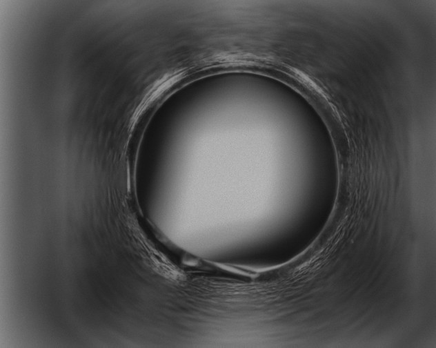 X0000052631269200507160121