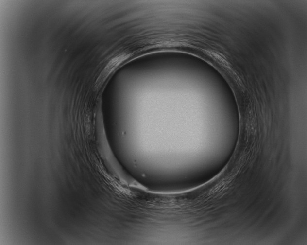 X0000052631273200507160121