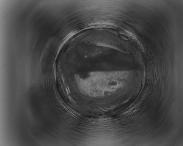 X0000052631275200507160121