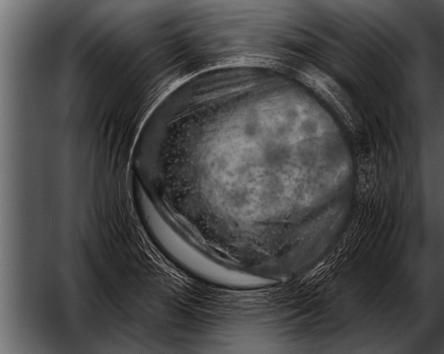 X0000052631276200507160121