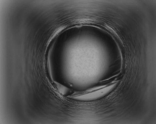 X0000052631277200507160121