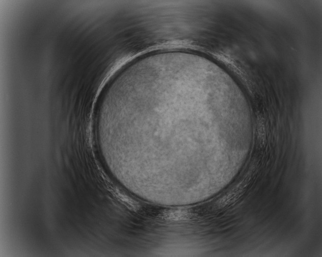X0000052631278200507160121