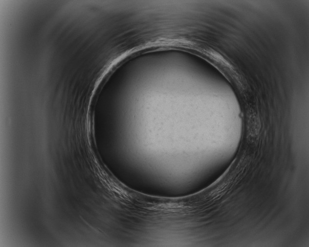 X0000052631280200507160121