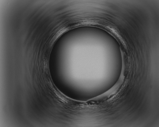 X0000052631281200507160121