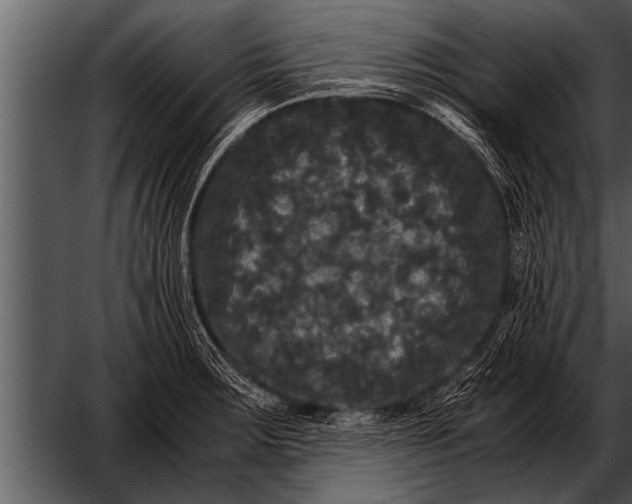 X0000052631283200507160121