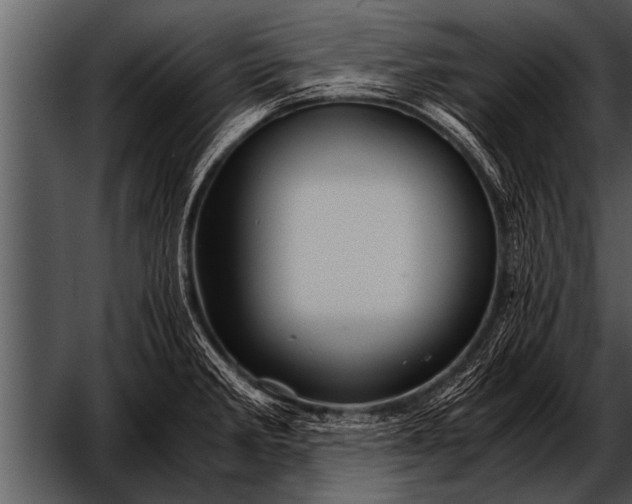 X0000052631285200507160121