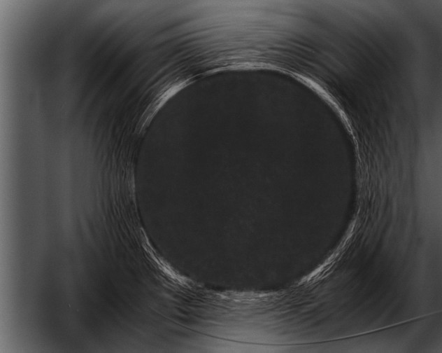 X0000052631289200507160121