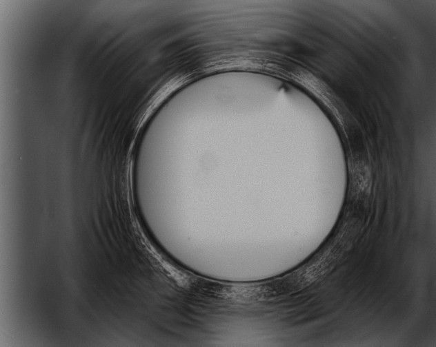 X0000052631290200507160121
