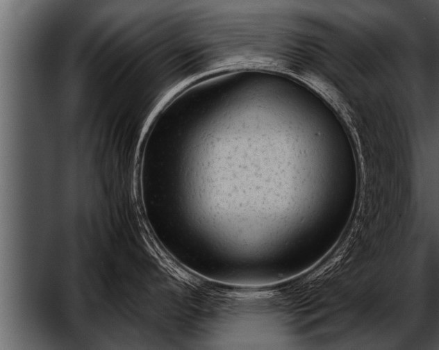 X0000052631296200507160121