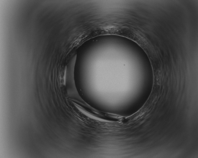 X0000052631298200507160120