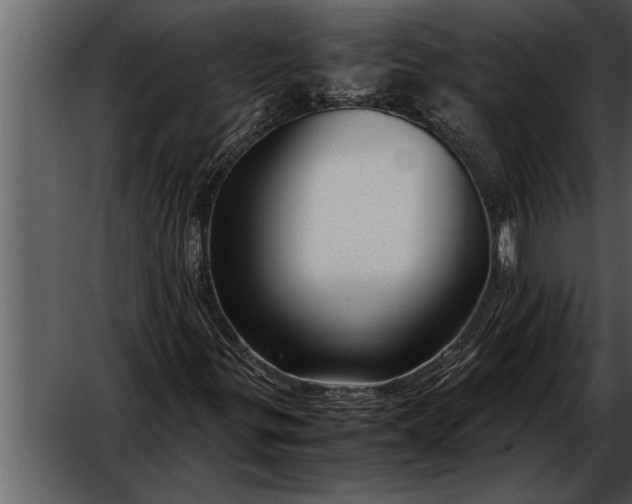 X0000052631299200507160120