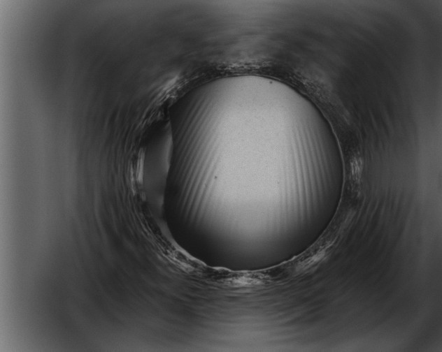 X0000052631300200507160120