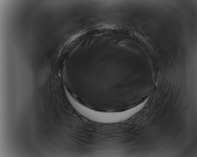 X0000052631303200507160120