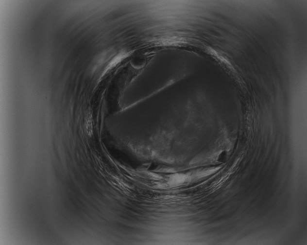X0000052631306200507160120