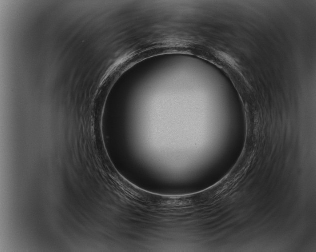 X0000052631307200507160120