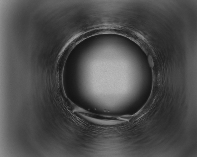 X0000052631310200507160120