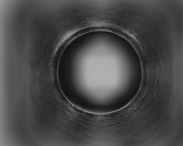 X0000052631311200507160120