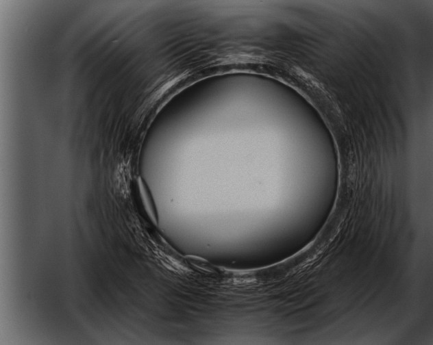 X0000052631313200507160120