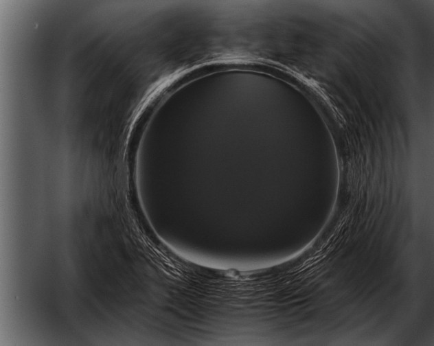 X0000052631319200507160120