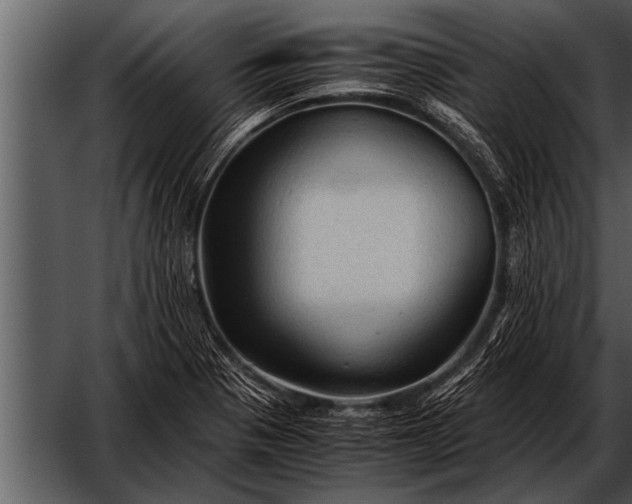 X0000052631321200507160120