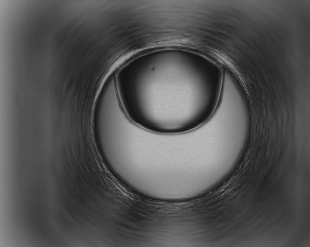 X0000052631324200507160120