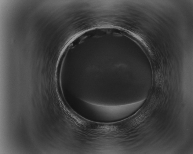 X0000052631327200507160120