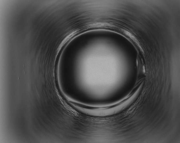 X0000052631330200507160120