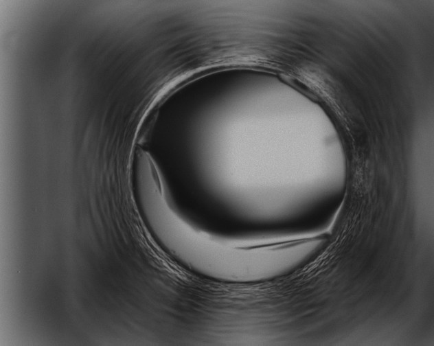 X0000052631332200507160120