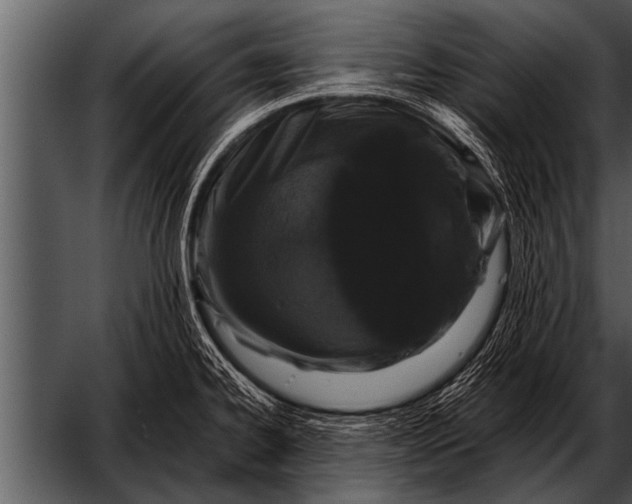 X0000052631334200507160120
