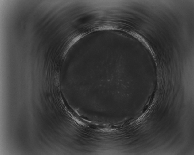 X0000052631337200507160120