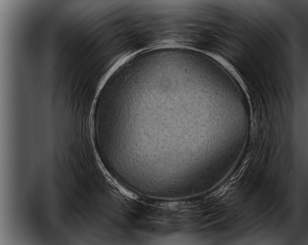 X0000052631341200507160121