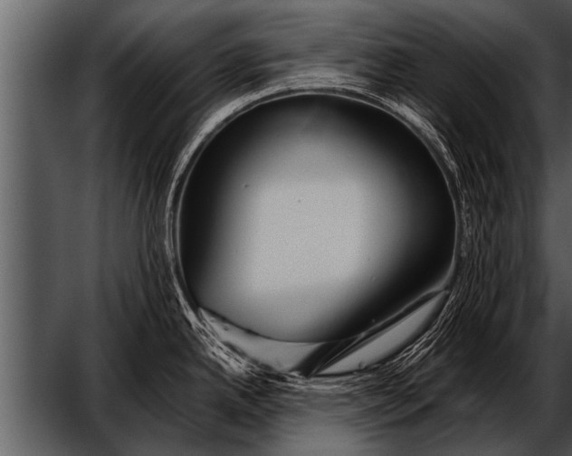 X0000052631342200507160121