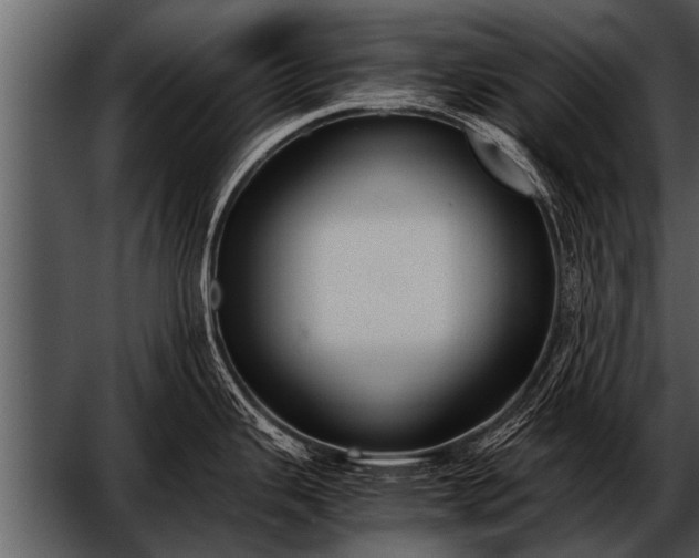 X0000052631343200507160121