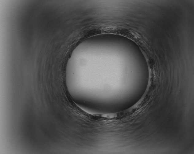X0000052631345200507160120
