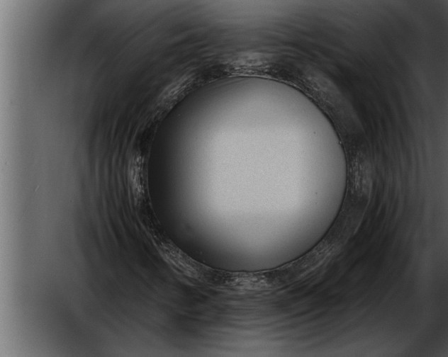 X0000052631346200507160120