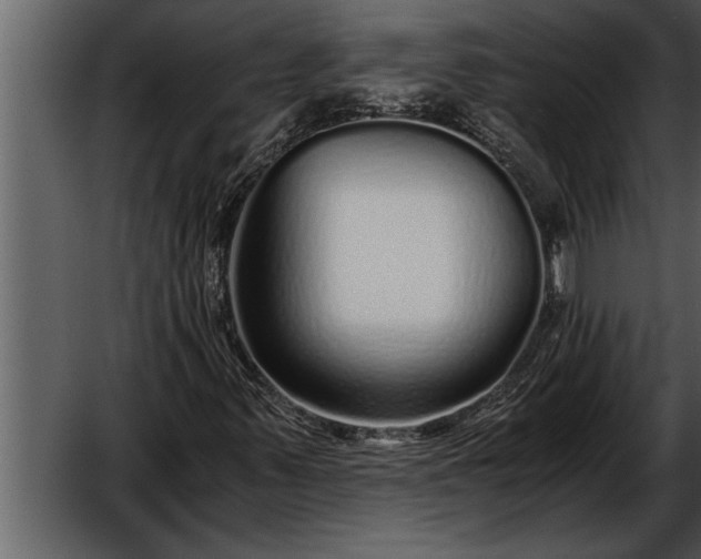 X0000052631347200507160120