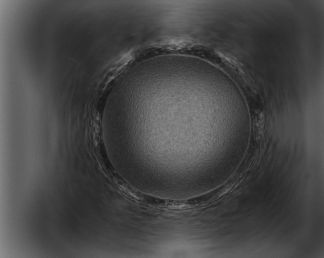 X0000052631349200507160120