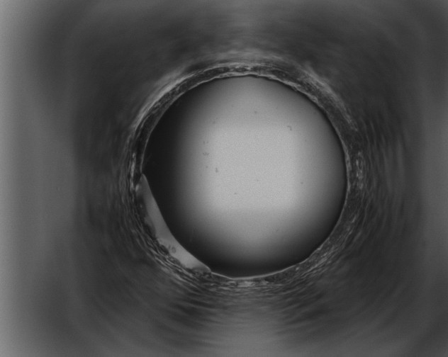 X0000052631352200507160120